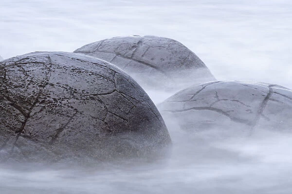 Close-up of Moeraki Boulders washed by the ocean, Hampden, North Otago, South Island