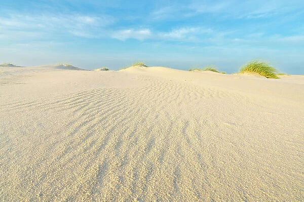Close-up of sand patterns on beach, Wittdun, UNESCO, Amrum island, Nordfriesland, Schleswig-Holstein, Germany