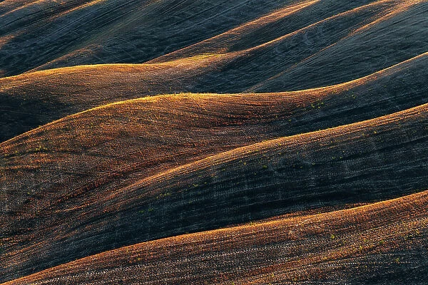 A close up view of some rolling hills taking the last light of the day in Tuscany. Italy