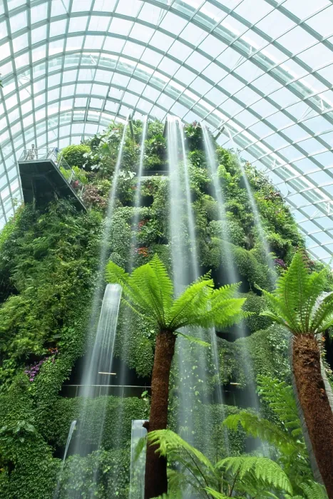 Framed Print : Cloud Forest, Gardens by the Bay, Singapore Framed Print : Cloud Forest, Gardens by the Bay, Singapore