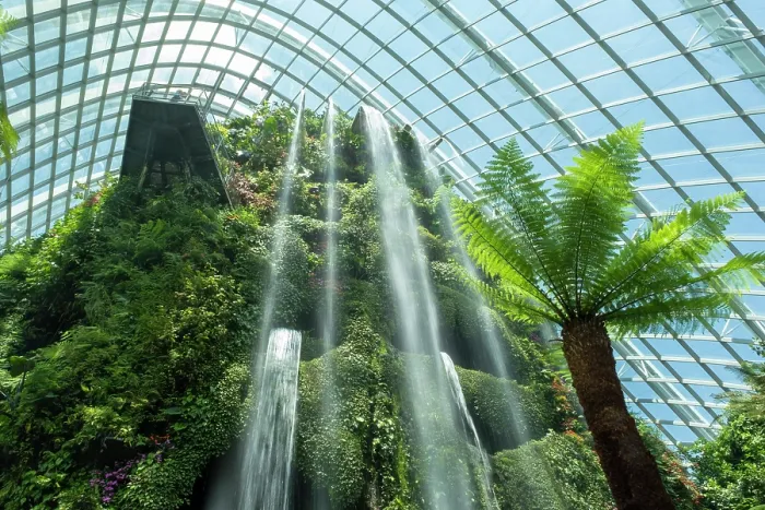 Framed Print : Cloud Forest, Gardens by the Bay, Singapore Framed Print : Cloud Forest, Gardens by the Bay, Singapore