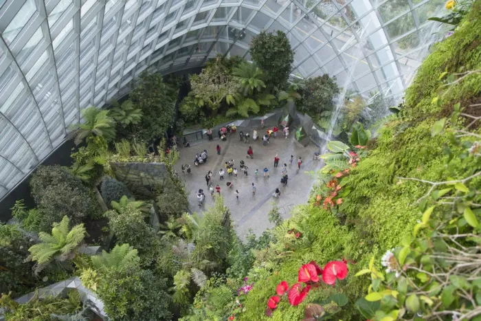 Framed Print : Cloud Forest greenhouse in Gardens by the Bay, Singapore