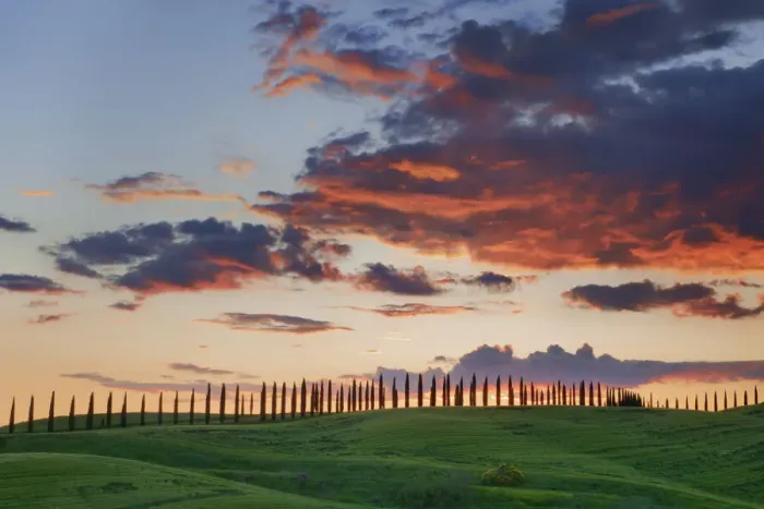 Framed Print : Cloud impression over corn field with cypresses - Italy, Tuscany, Siena, Buonconvento Framed Print : Cloud impression over corn field with cypresses - Italy, Tuscany, Siena, Buonconvento