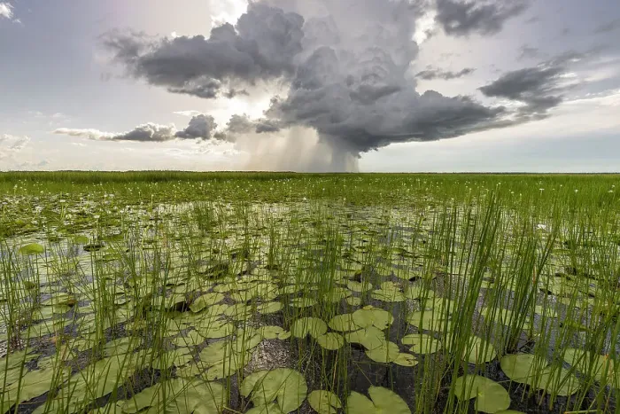 Framed Print : Cloudburst over Swim Creek floodplain, Bamurru Plains, Northern Territory, Australia Framed Print : Cloudburst over Swim Creek floodplain, Bamurru Plains, Northern Territory, Australia