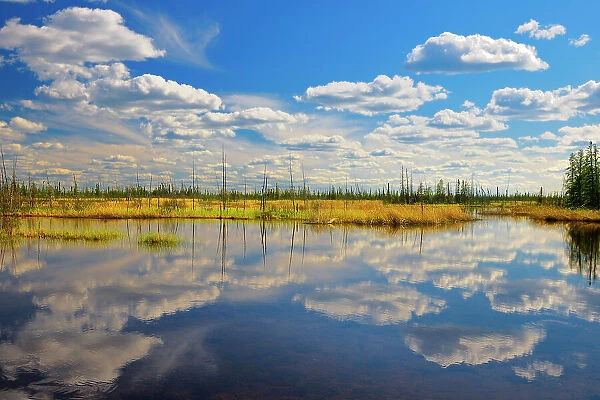 Clouds reflected in wetland Wood Buffalo National Park, Northwest Territories, Canada