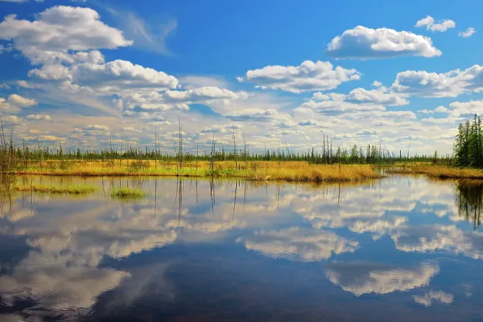 Framed Print : Clouds reflected in wetland Wood Buffalo National Park, Northwest Territories, Canada Framed Print : Clouds reflected in wetland Wood Buffalo National Park, Northwest Territories, Canada