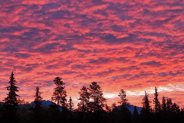Clouds at sunrise, Patricia Lake, Jasper National Park, Alberta, Canada