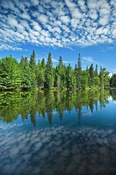 clouds and trees reflected in Tea Lake Algonquin Provincial Park, Ontario, Canada