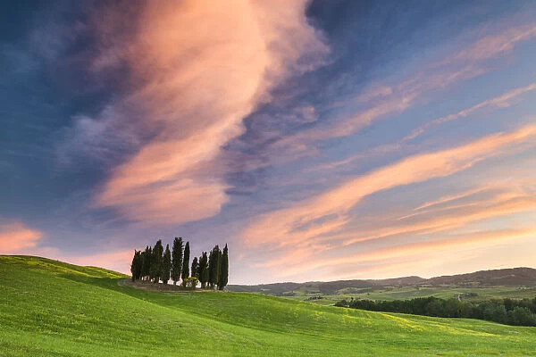 Cloudscape over Cypress Trees, Val d Orcia, Tuscany, Italy