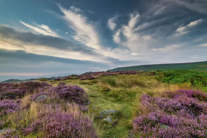 Framed Print : Cloudscape over Heather in Bloom, Ilkley Moor, West Yorkshire, England Framed Print : Cloudscape over Heather in Bloom, Ilkley Moor, West Yorkshire, England