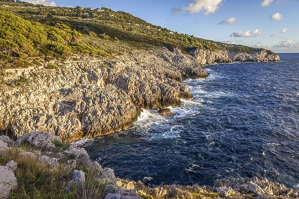 Coast at Fortino di Mesola, Capri, Gulf of Naples, Campania, Italy