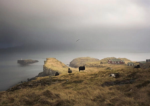 The coast of Hoyvik, close to Torshavn, in a foggy day. Island of Streymoy. Faroe Islands