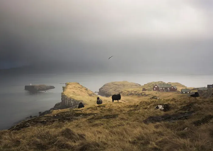 Framed Print : The coast of Hoyvik, close to Torshavn, in a foggy day. Island of Streymoy. Faroe Islands Framed Print : The coast of Hoyvik, close to Torshavn, in a foggy day. Island of Streymoy. Faroe Islands