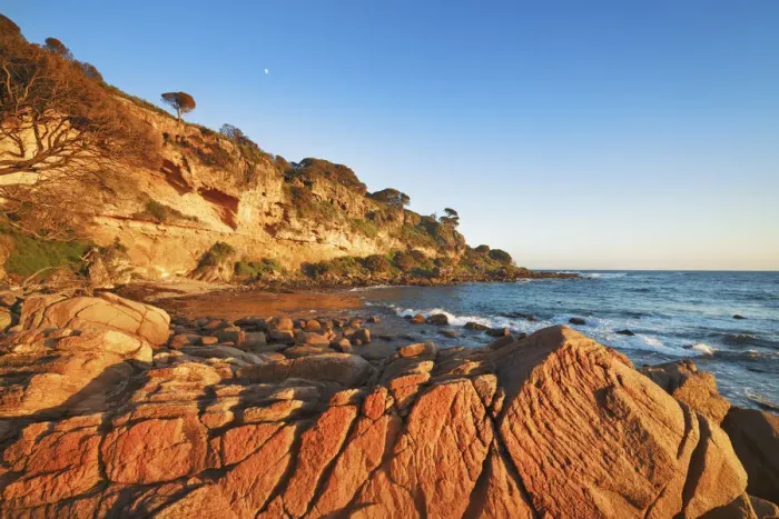 Framed Print : Coast landscape at Bunker Bay - Australia, Western Australia, Southwest