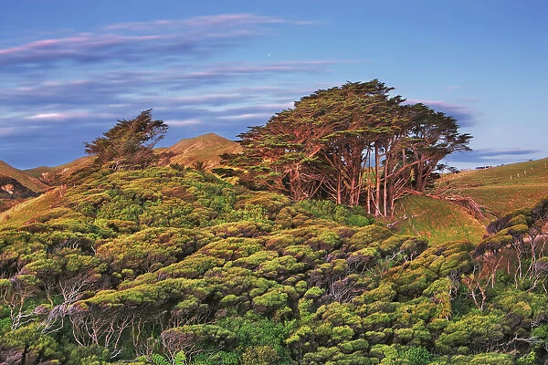 Coast landscape - New Zealand, South Island, Tasman, Golden Bay, Puponga, Wharariki Beach