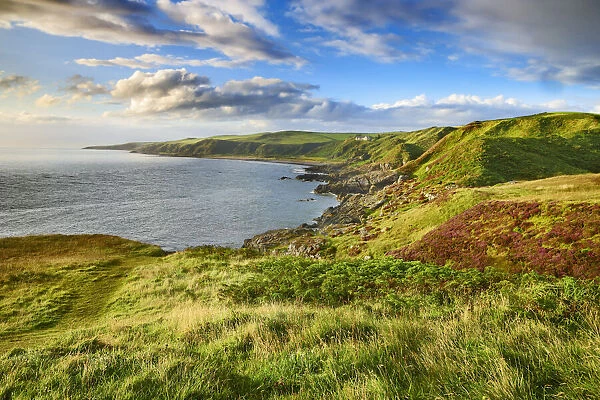 Coast landscape - United Kingdom, Scotland, Dumfries and Galloway, Black Head