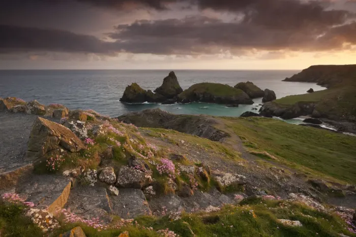 Framed Print : Coast path leading down to Kynance Cove, The Lizard, Cornwall, England. Spring