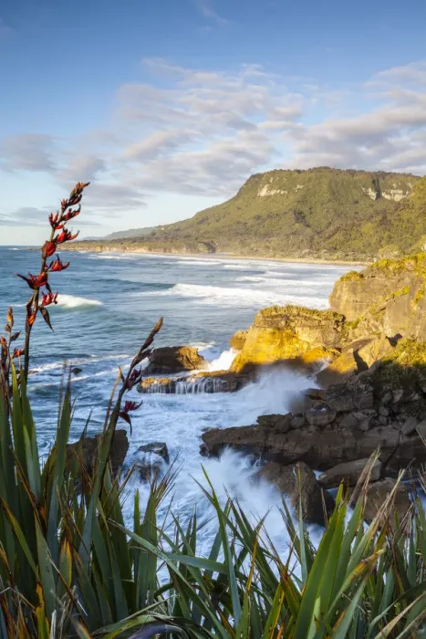 Framed Print : The coast at Punakaiki, West Coast, South Island, New Zealand