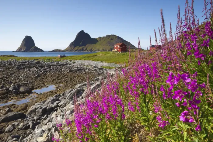 Framed Print : Coastal landscape near Nykvag, Vesteralen, Nordland, Norway
