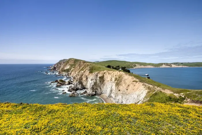 Framed Print : Coastline at Chimney Rock, Point Reyes National Seashore, Marin County, California, USA Framed Print : Coastline at Chimney Rock, Point Reyes National Seashore, Marin County, California, USA