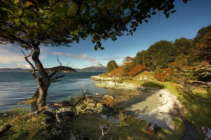 Framed Print : Coastline near Ushuaia in Tierra del Fuego, Argentina Framed Print : Coastline near Ushuaia in Tierra del Fuego, Argentina