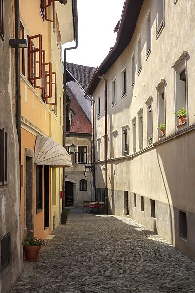 Cobble stone street and architecture, Skofja Loka, Upper Carniola, Slovenia
