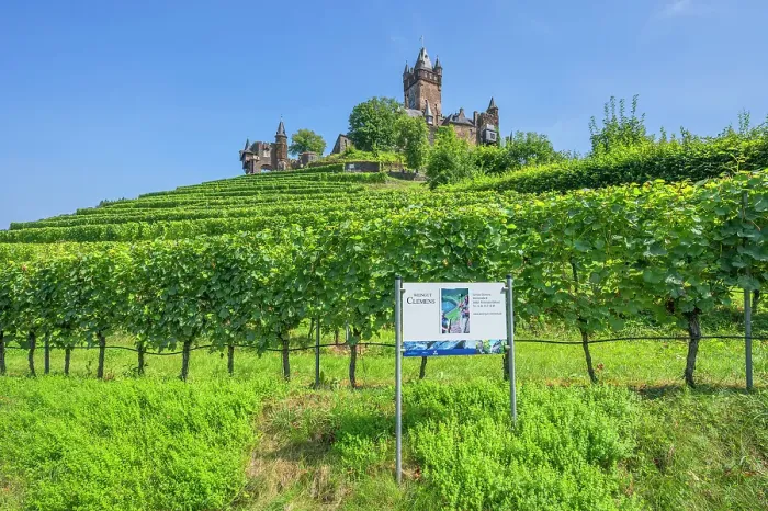 Framed Print : Cochem castle with vineyards, Cochem, Mosel valley, Rhineland-Palatinate, Germany Framed Print : Cochem castle with vineyards, Cochem, Mosel valley, Rhineland-Palatinate, Germany