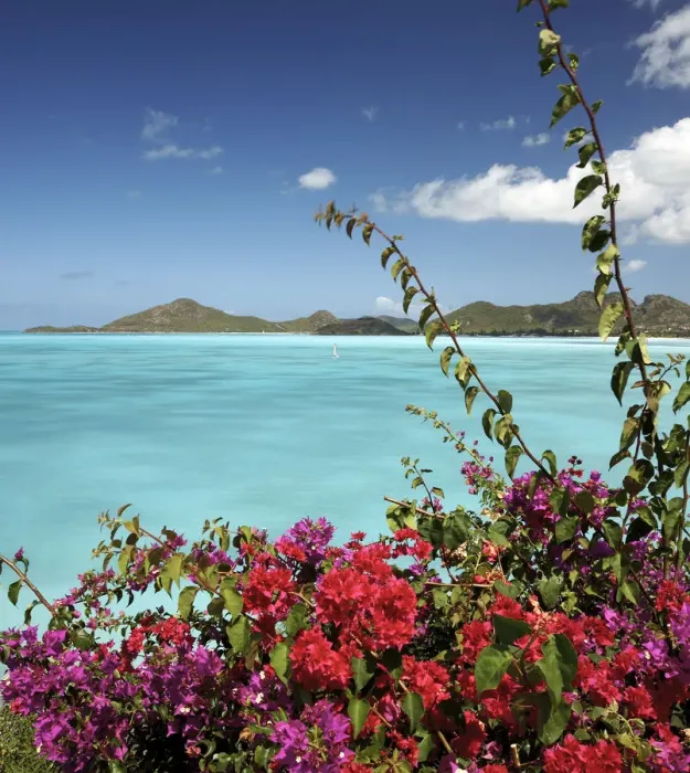 Framed Print : Coco Bay, Antigua, Caribbean, West Indies Framed Print : Coco Bay, Antigua, Caribbean, West Indies