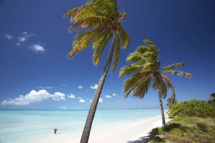 Framed Print : Coco Point, Barbuda, Caribbean, West Indies