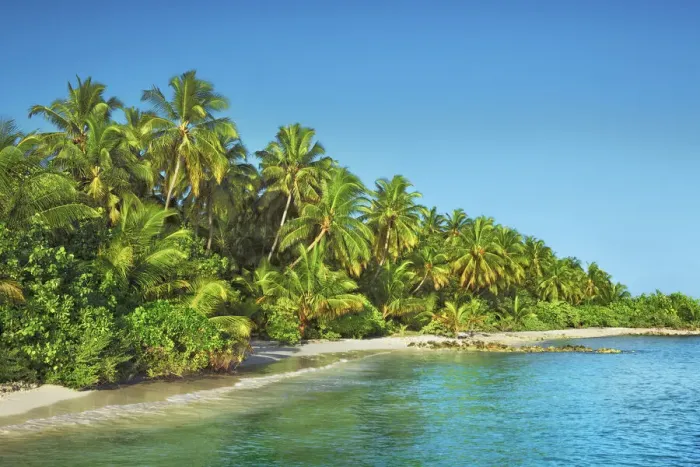 Framed Print : Coconutpalm shore - Maldives, Nord Nilandhe Atoll, Filitheyo Framed Print : Coconutpalm shore - Maldives, Nord Nilandhe Atoll, Filitheyo