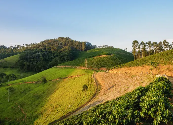Framed Print : Coffee Plantation, Bom Jardim, State of Rio de Janeiro, Brazil
