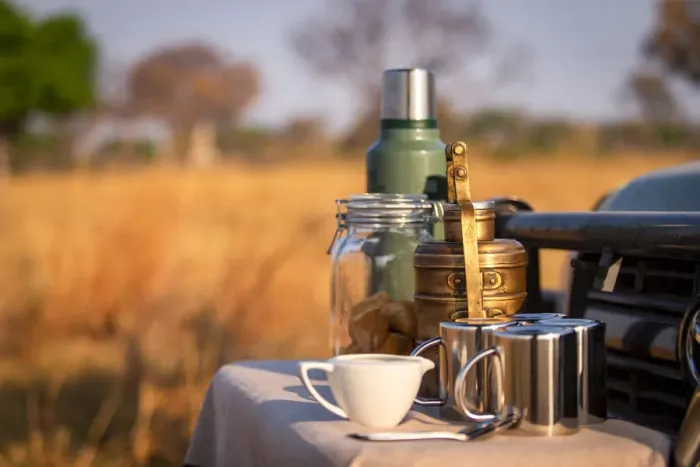 Framed Print : Coffee on safari, Moremi National Park, Okavango Delta, Botswana Framed Print : Coffee on safari, Moremi National Park, Okavango Delta, Botswana