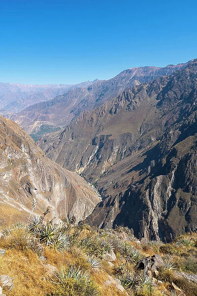 Colca River running through deep Canyon Colca, Caylloma Province, Arequipa Region, Peru