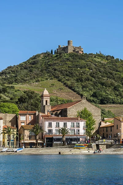 Collioure, Pyrenees-Orientales, France