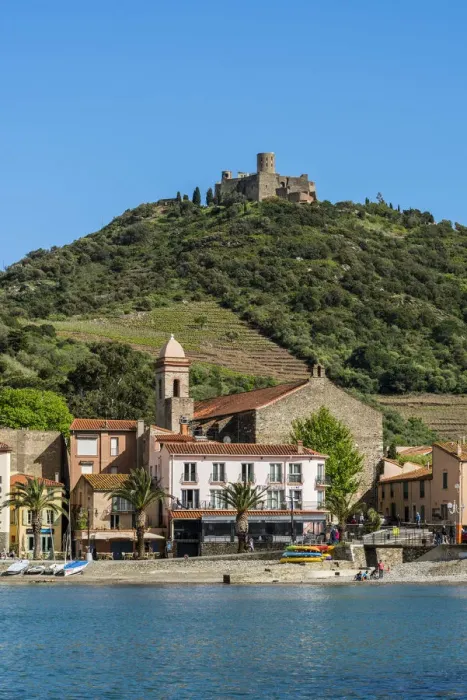 Framed Print : Collioure, Pyrenees-Orientales, France Framed Print : Collioure, Pyrenees-Orientales, France
