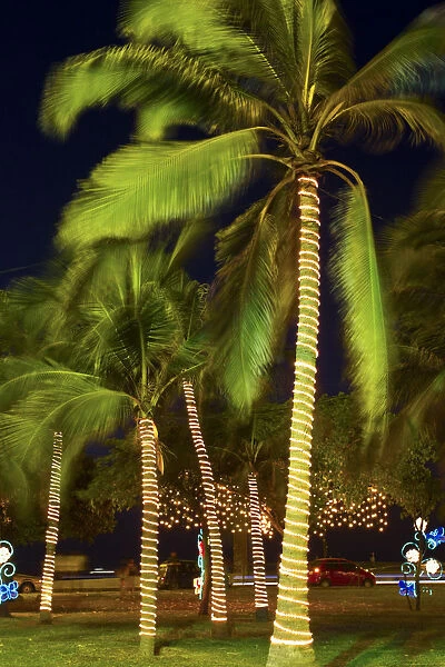 Colombia, Bolivar, Cartagena De Indias, Parque de la Marina, Christmas lights