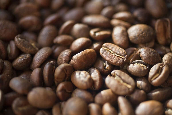 Colombia, Caldas, Manizales, Colombian Coffee beans