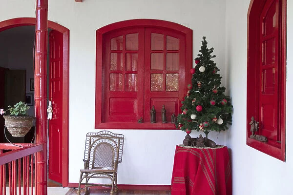 Colombia, Caldas, Manizales, Hacienda Venecia Coffee plantation, Christmas tree at