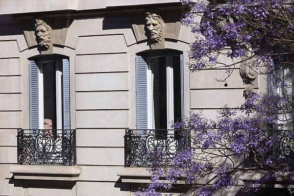 Colonial style architecture in a building of the Recoleta neighborhood during spring, with Jacaranda's trees in flower, Buenos Aires, Argentina