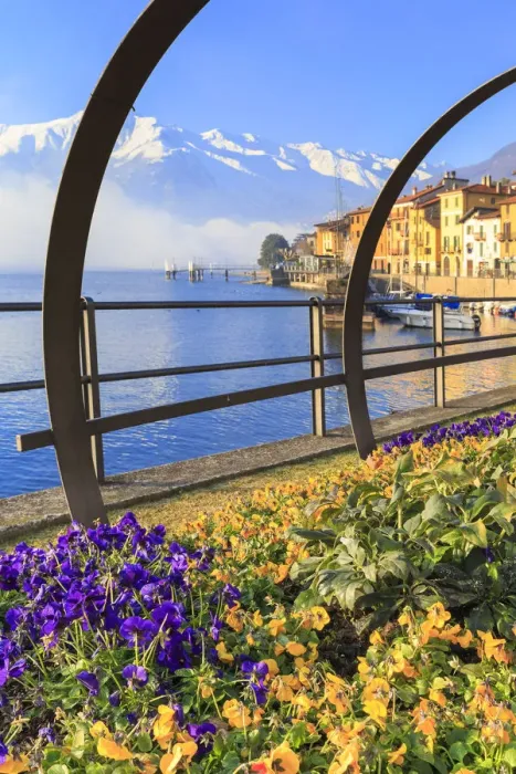 Framed Print : Colored flowers in bloom on a traditional Como Lake boat(Lucia). Domaso, Como Lake Framed Print : Colored flowers in bloom on a traditional Como Lake boat(Lucia). Domaso, Como Lake