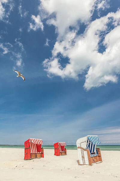 Colorful beach chairs on the beach of Zingst, Mecklenburg-Western Pomerania, Baltic Sea, North Germany, Germany