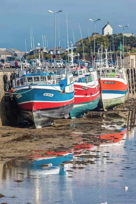 Framed Print : Colorful fishing boats at low tide in the harbor of Roscoff, Finistere, Brittany, France