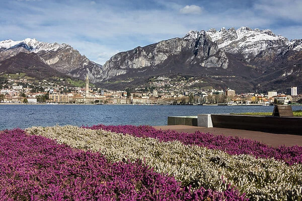 Colorful flowers frame Lake Como and the city of Lecco with snowy peaks in the background