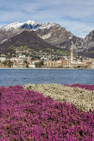 Colorful flowers frame Lake Como and the city of Lecco with snowy peaks in the background