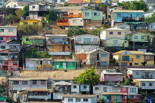 Colorful houses, Cerro Polanco, Valparaiso, Valparaiso Province, Valparaiso Region, Chile