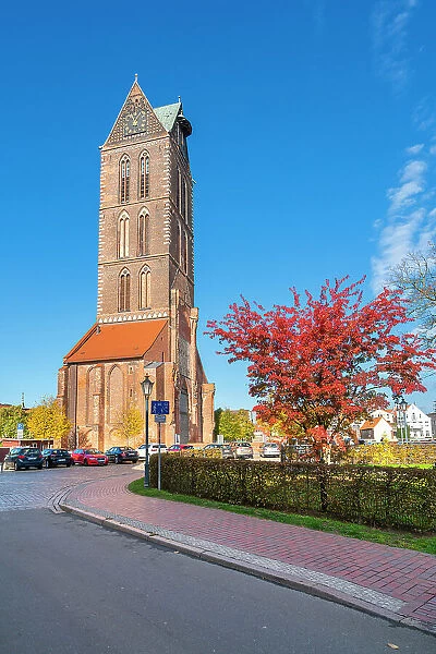 Colorful tree and St. Marienkirche, Wismar, UNESCO, Nordwestmecklenburg, Mecklenburg-Western Pomerania, Germany