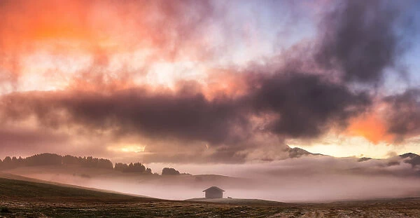 Colors of sunrise illuminates fog with a hut and a cow in silhouette