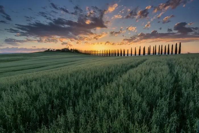 Framed Print : The colors of the Val d Orcia, Poggio Covili, Tuscany, Italy Framed Print : The colors of the Val d Orcia, Poggio Covili, Tuscany, Italy