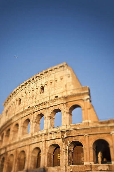 The Colosseum, roman forum, Rome, Lazio, Italy, Europe