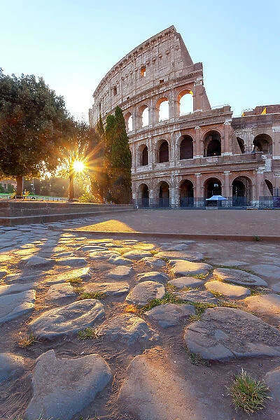 Colosseum at sunrise, Rome, Lazio, Italy